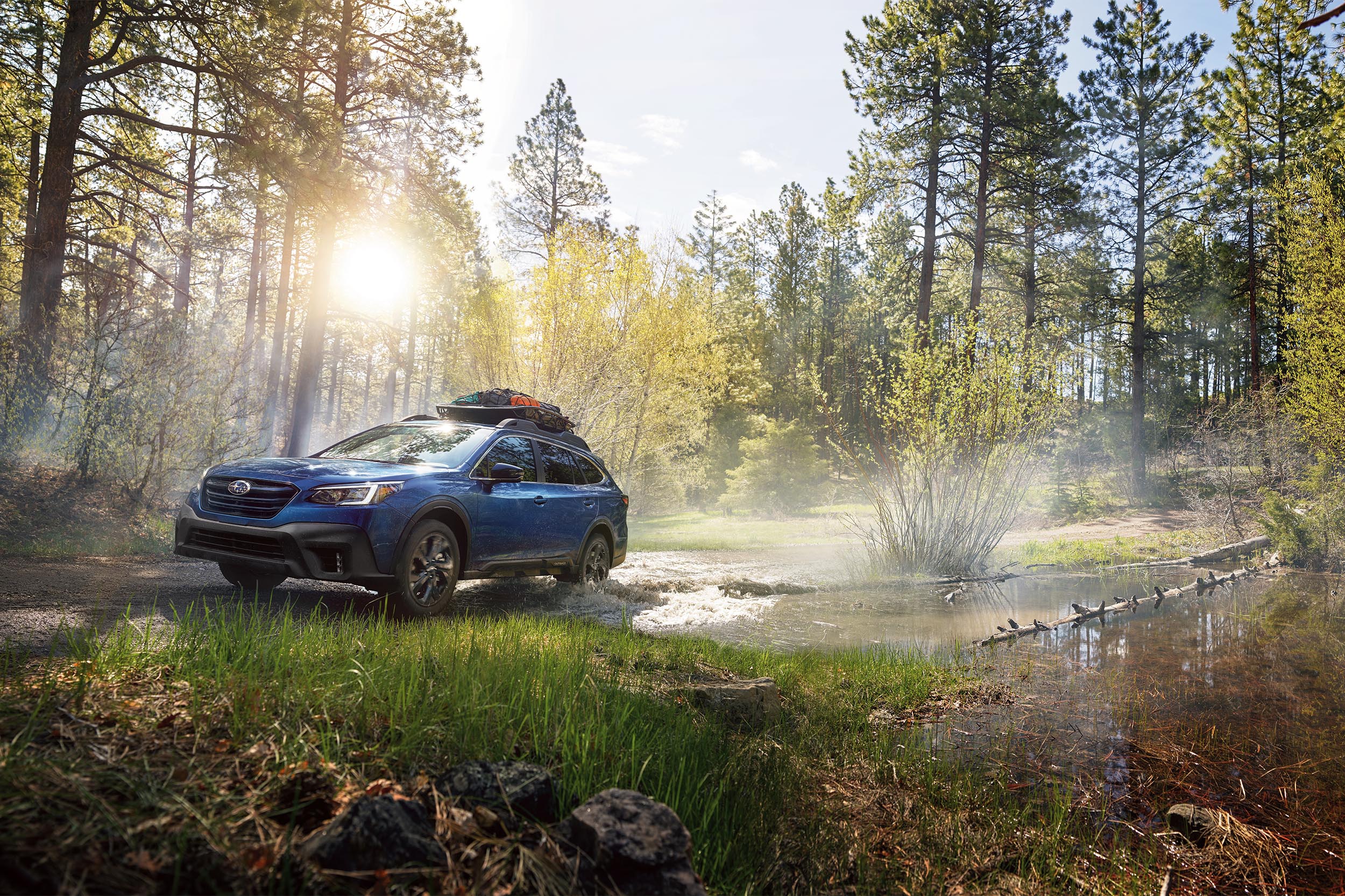 Subaru Outback forest